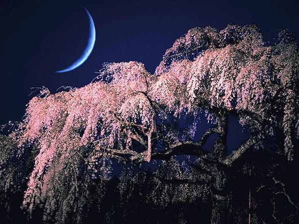 風景美圖 (52).jpg
