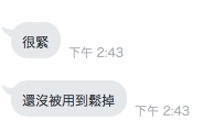 琳恩3.jpg