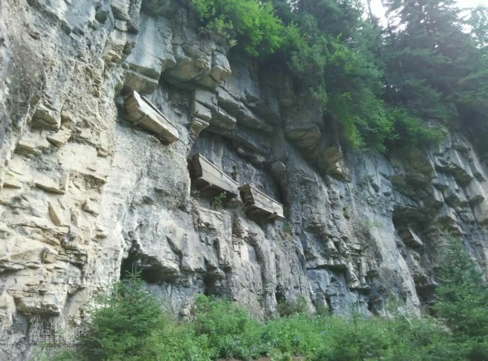 timg (2).jpg