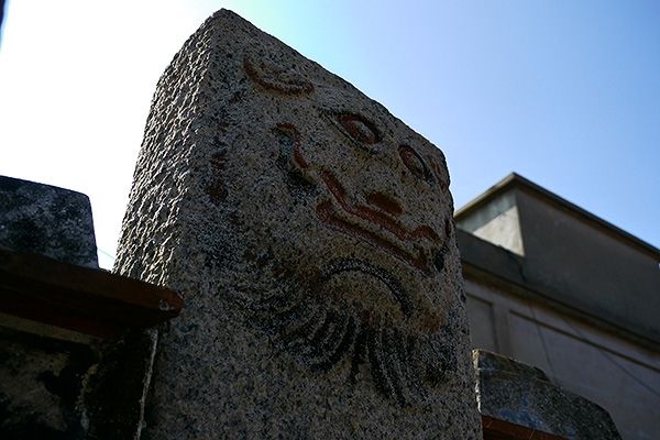 timg (1).jpg