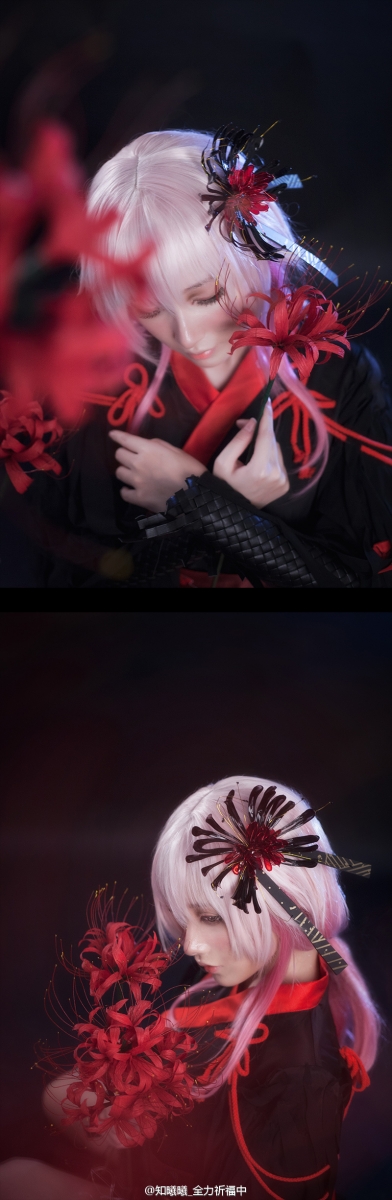 06422419e0zllwr25w2yre.jpg.thumb.jpg