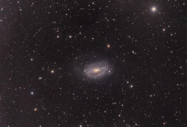 b57000e1496be32985c.jpg