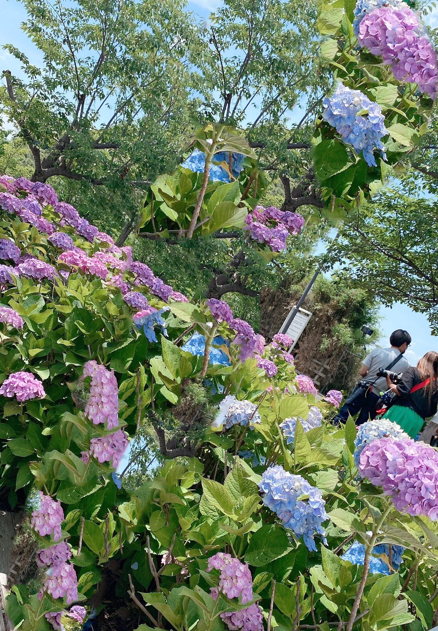 c03.jpg
