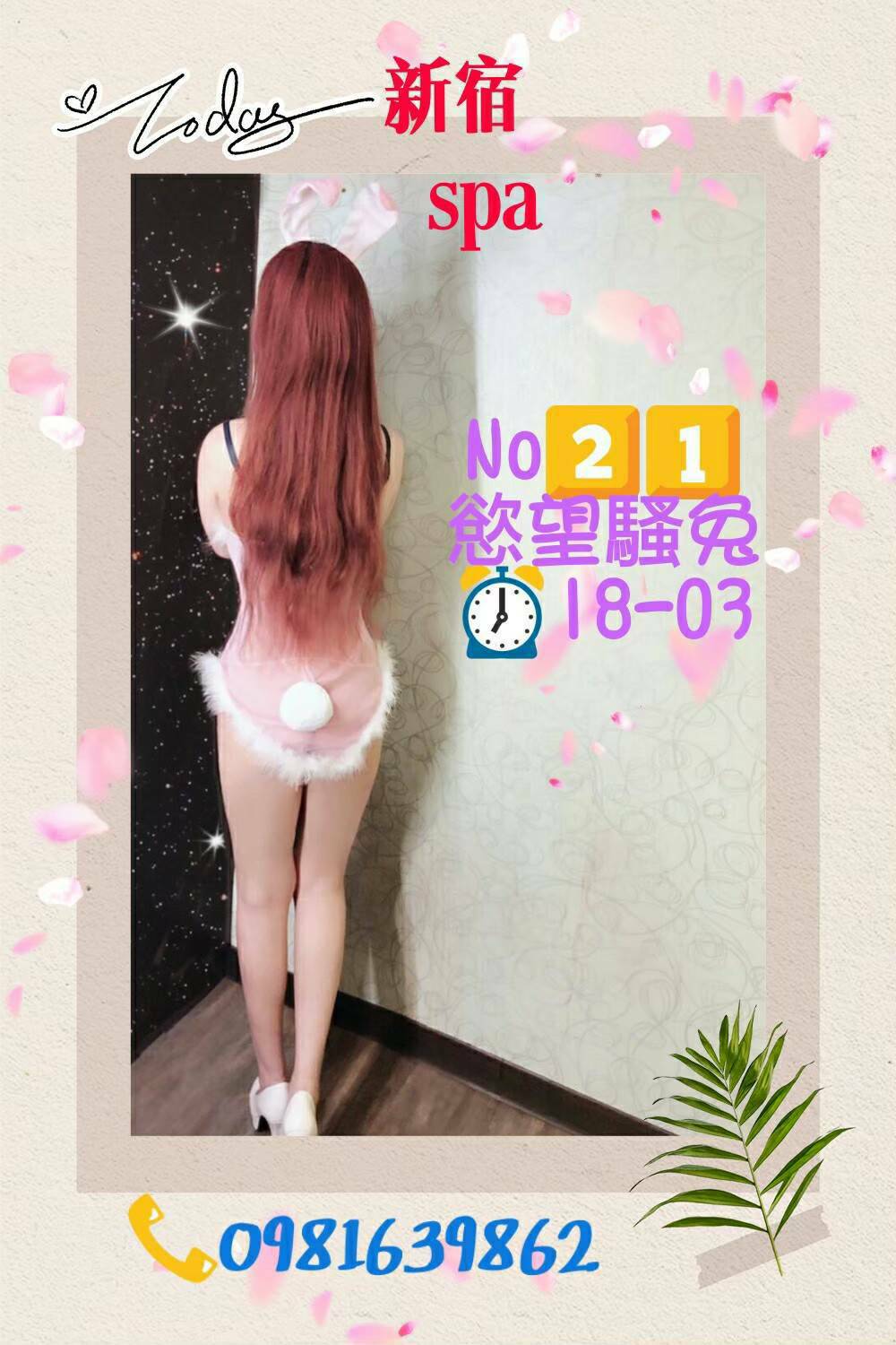 14511734.jpg