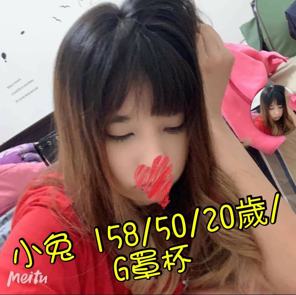 小兔87.jpg