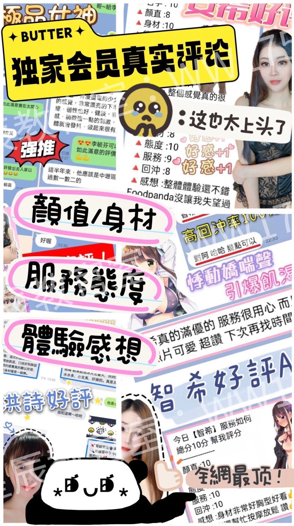 全省星4.jpg