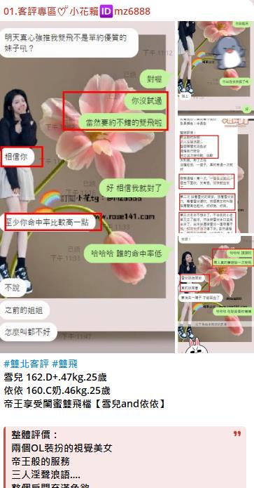 雙飛.jpg
