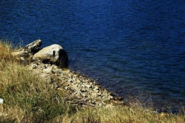 流溪河國家森林公園