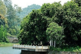 麓湖公園