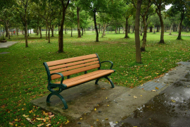 大安森林公園