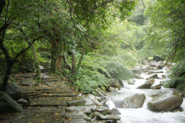 草嶺古道