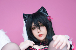 Black Cat Ahri
