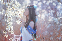明月心