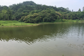 廣州旅遊