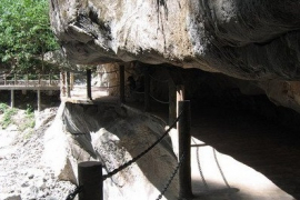 太平森林公園